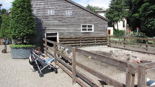 Children’s Farm Cantecleer
