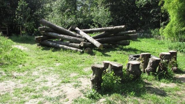 The Nature Playground